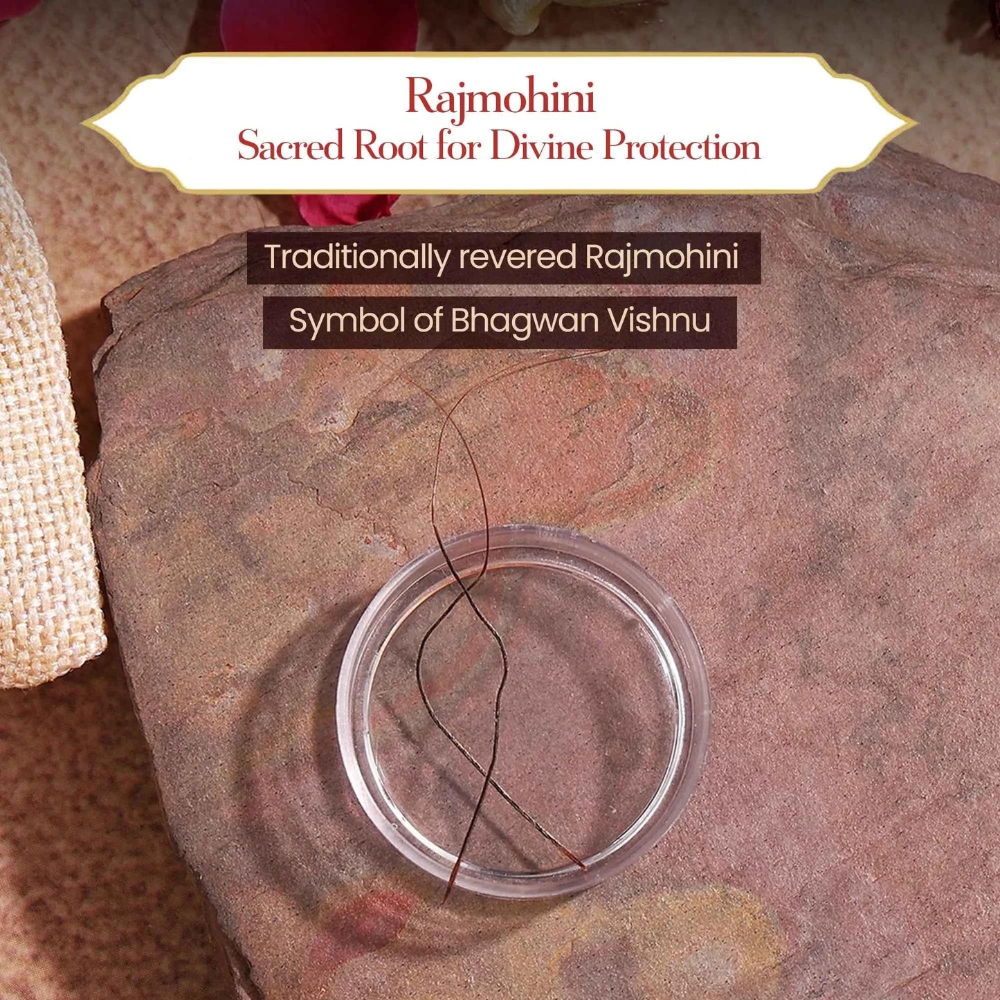 Rajmohini - Warns against negative Situations in Life | Breaks to Warn Against Difficulties | Spiritual Protection